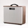 Carr Amplifiers Telstar